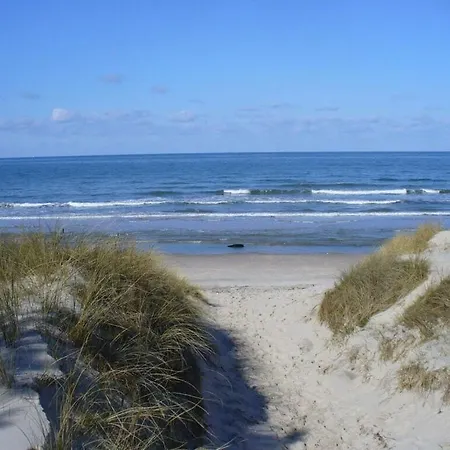 Stranddistel Comfortable Glowe