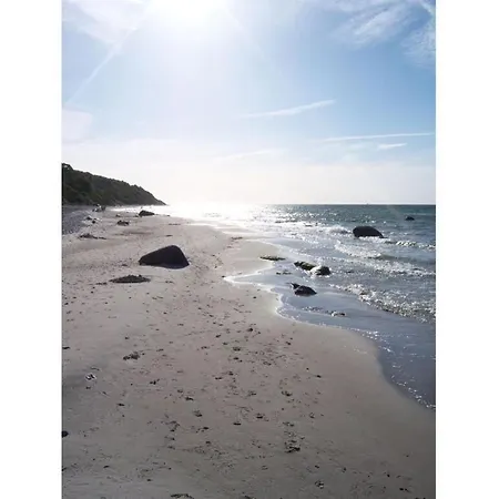 Stranddistel Comfortable * Glowe