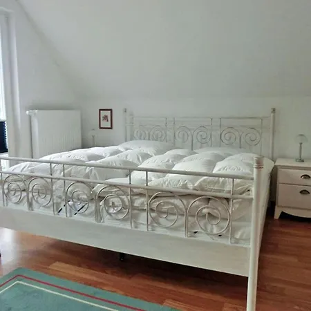 Stranddistel Comfortable *