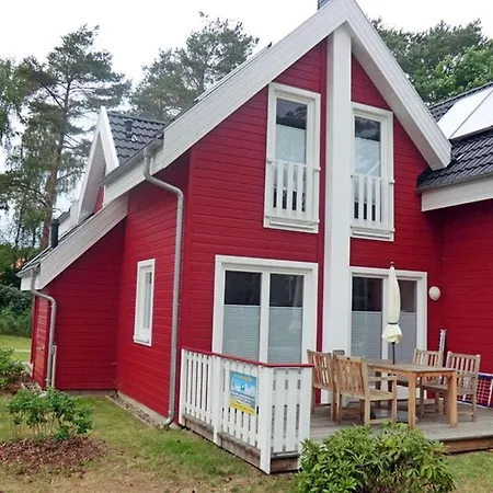 Stranddistel Comfortable