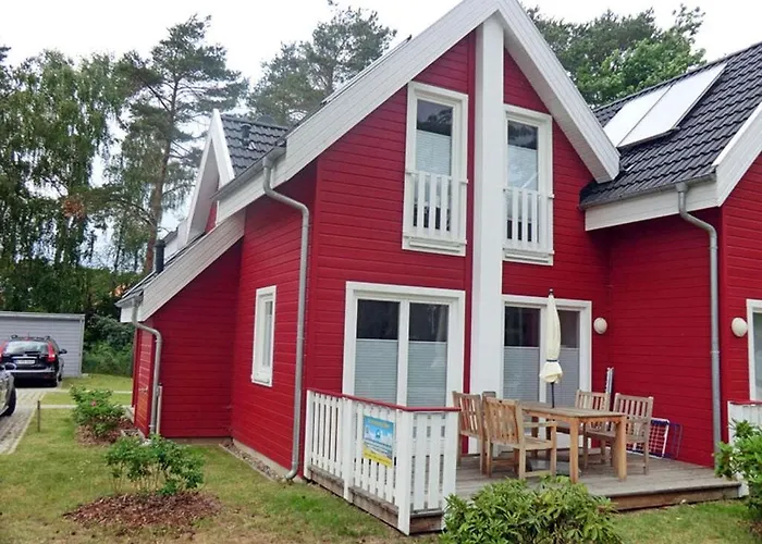 Stranddistel Comfortable